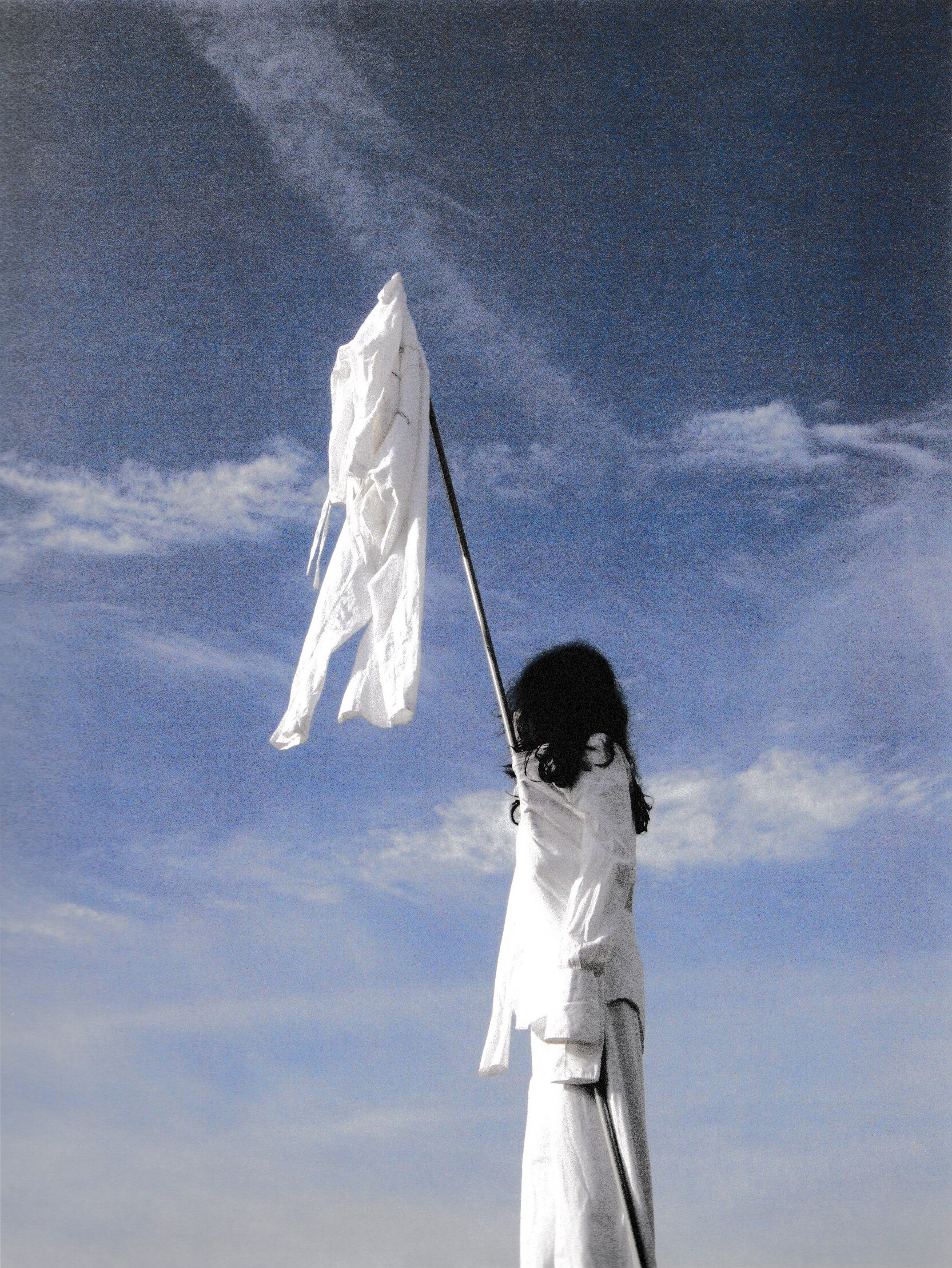 Shilpa Gupta - Half-Windows